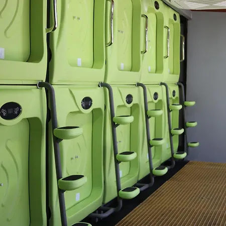 Pupa House - Capsule Hotel - Adults Only