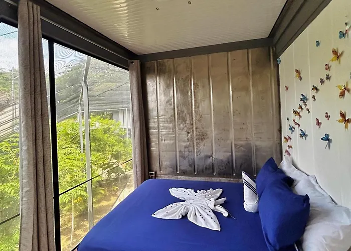 Capsule Pupa House (adults Only)
