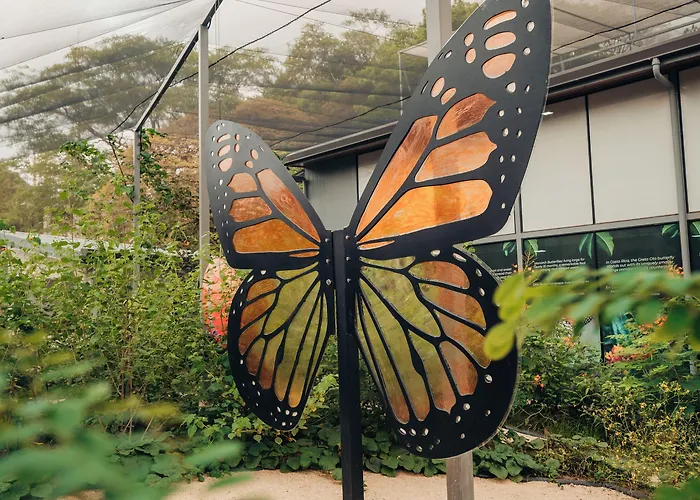 Capsule Pupa House (adults Only)
