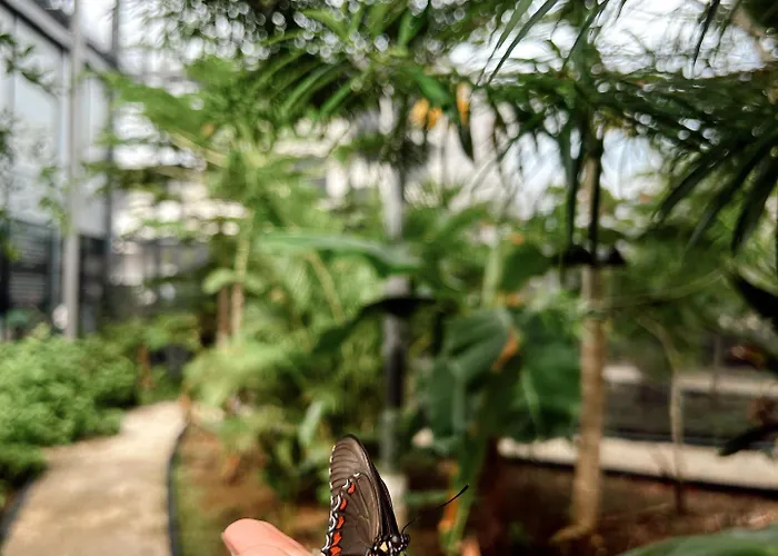 Capsule Pupa House (adults Only) Tamarindo